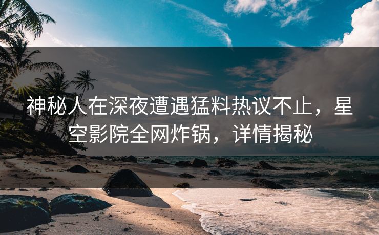 神秘人在深夜遭遇猛料热议不止，星空影院全网炸锅，详情揭秘