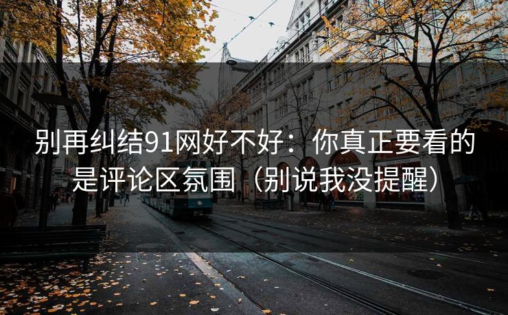 别再纠结91网好不好：你真正要看的是评论区氛围（别说我没提醒）